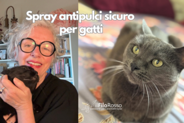 Spray antipulci sicuro per gatti