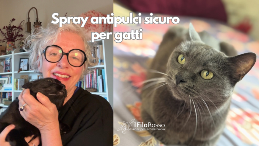 Spray antipulci sicuro per gatti