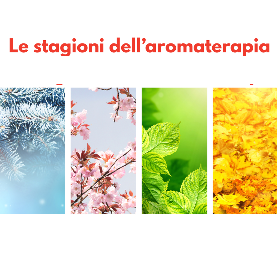 Le stagioni dell'Aromaterapia - corsi Le stagioni dell'Aromaterapia