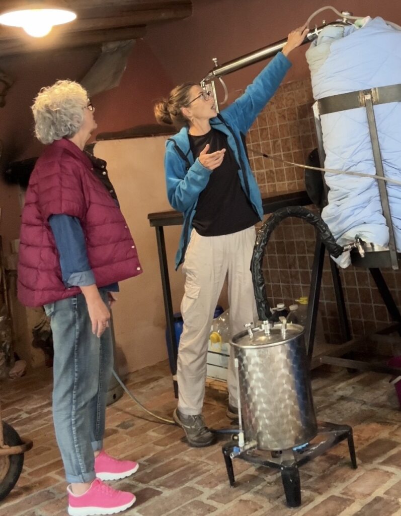 Distillazione Ginepro Letizia