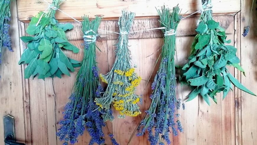Distillatori Italiani: Letizia –  altopiano di Asiago