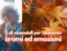 5 oli essenziali per l’autunno: aromi ed emozioni